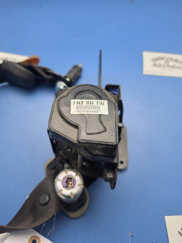 HOLDEN CAPTIVA SEAT BELT RH FRONT, SEAT BELT ONLY, 7 SEAT TYPE, CG, 01