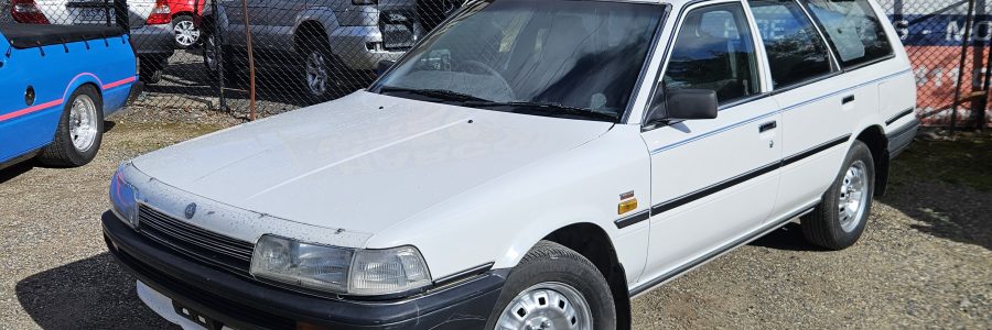 Holden Apollo wagon (toyota camry)