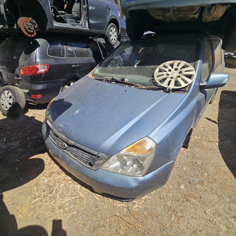 Kia in the yard