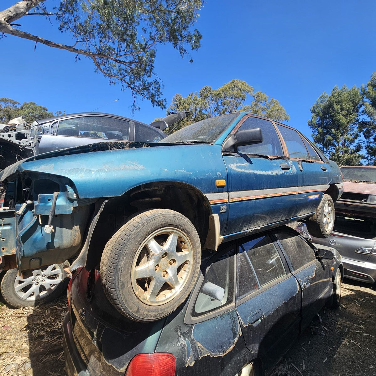 Ford Laser, Focus and Fiesta in the yard, photo 2 of 15