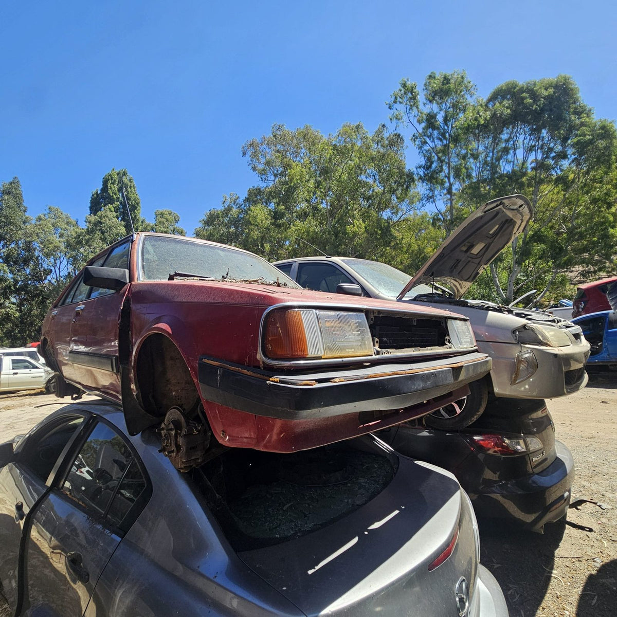 Ford Laser, Focus and Fiesta in the yard, photo 3 of 15