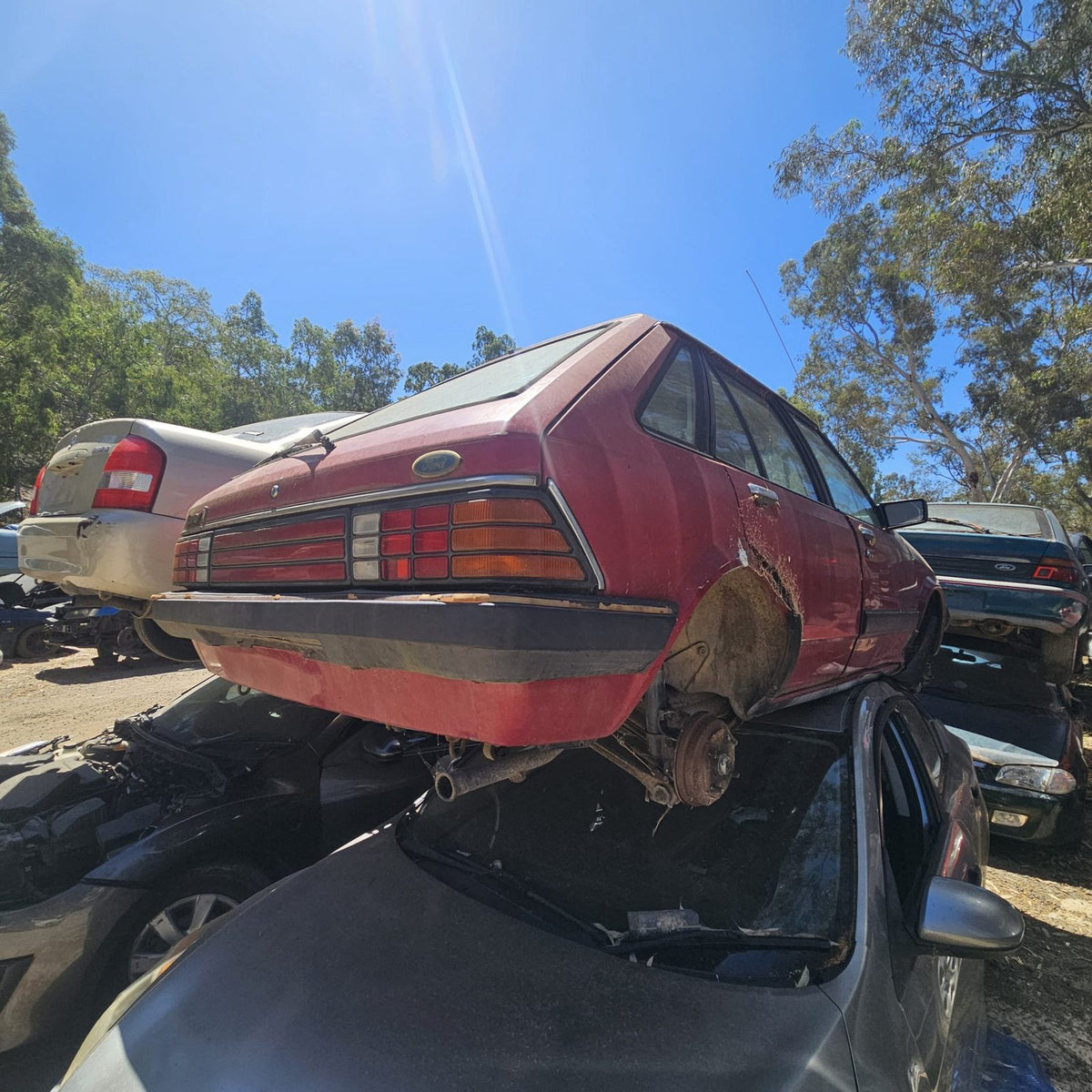 Ford Laser, Focus and Fiesta in the yard, photo 4 of 15