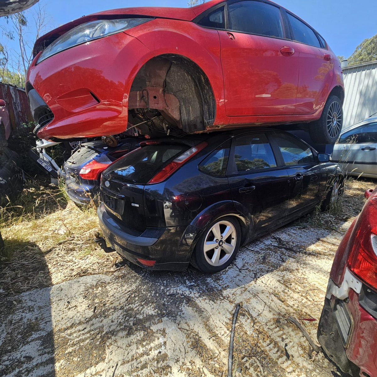 Ford Laser, Focus and Fiesta in the yard, photo 5 of 15