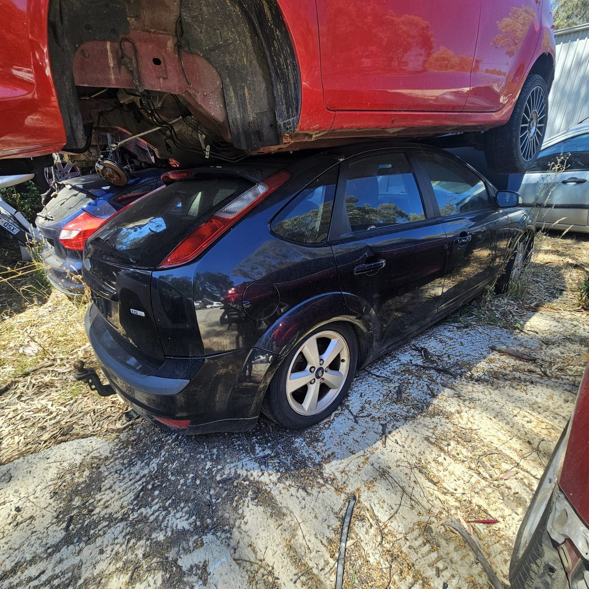 Ford Laser, Focus and Fiesta in the yard, photo 6 of 15