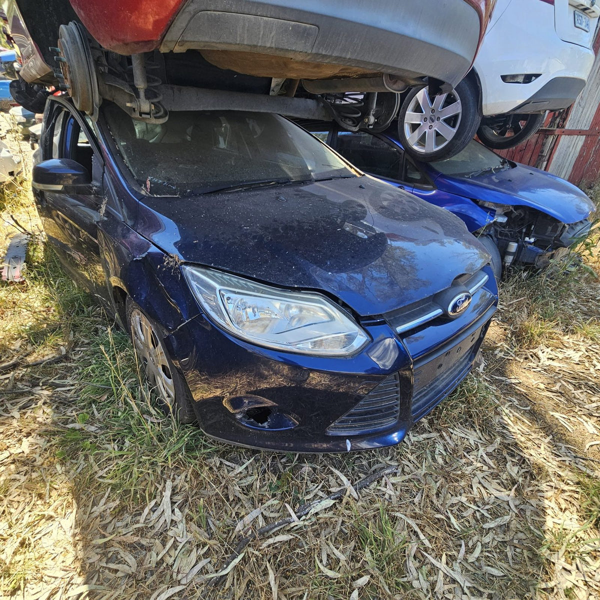 Ford Laser, Focus and Fiesta in the yard, photo 9 of 15