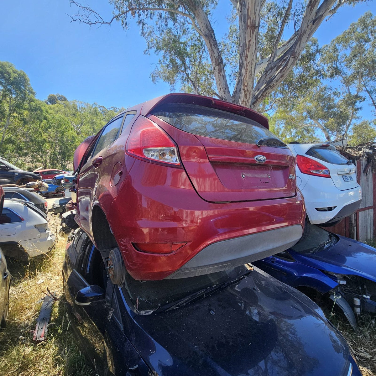 Ford Laser, Focus and Fiesta in the yard, photo 10 of 15