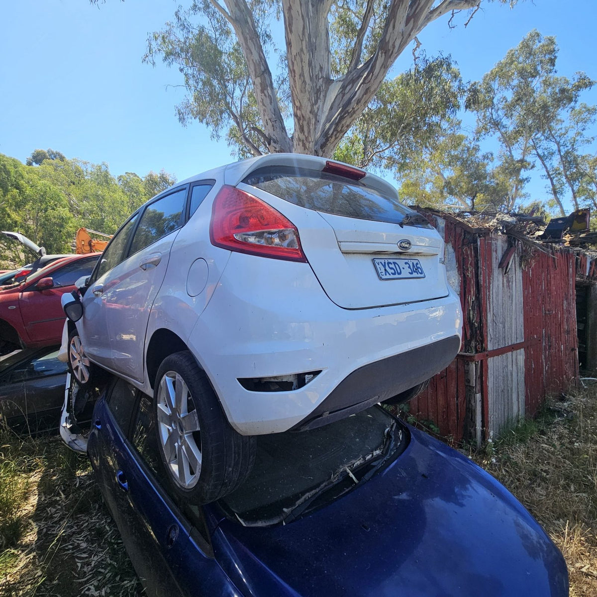 Ford Laser, Focus and Fiesta in the yard, photo 11 of 15