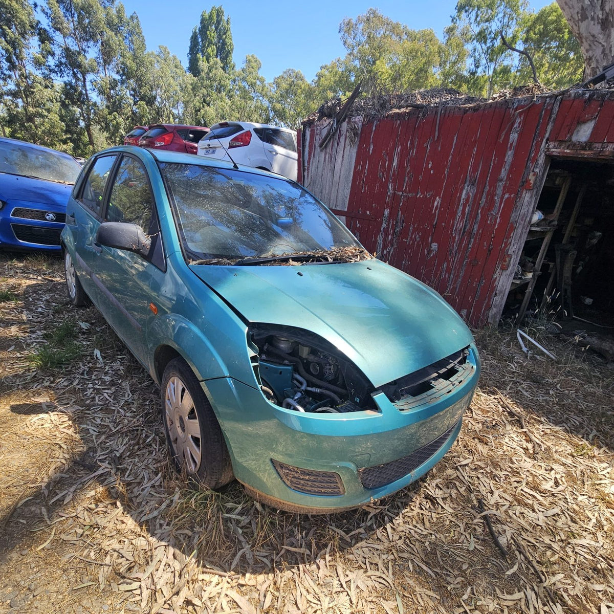 Ford Laser, Focus and Fiesta in the yard, photo 13 of 15