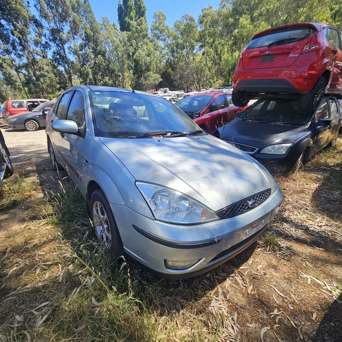 Ford Laser, Focus and Fiesta in the yard, photo 14 of 15