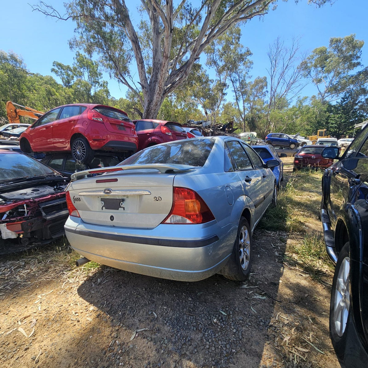 Ford Laser, Focus and Fiesta in the yard, photo 15 of 15