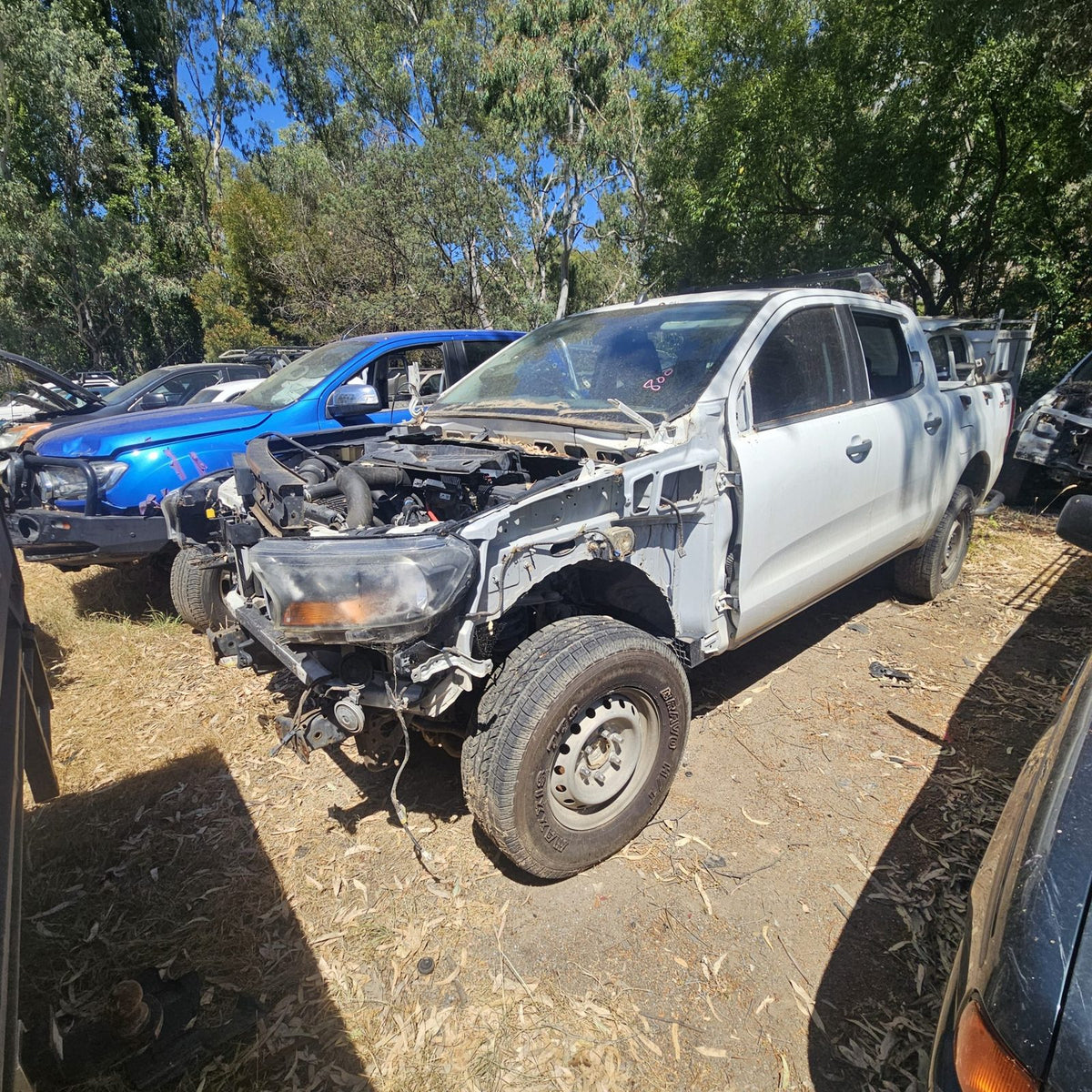 Ford Ranger and Courier in the yard, photo 2 of 11
