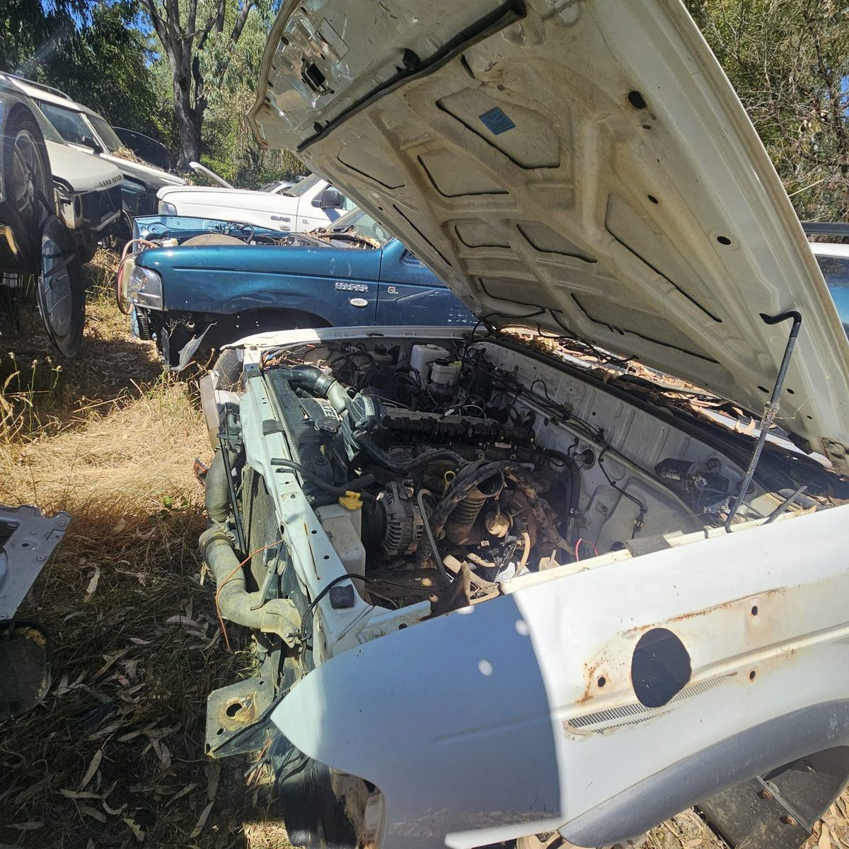 Ford Ranger and Courier in the yard, photo 7 of 11