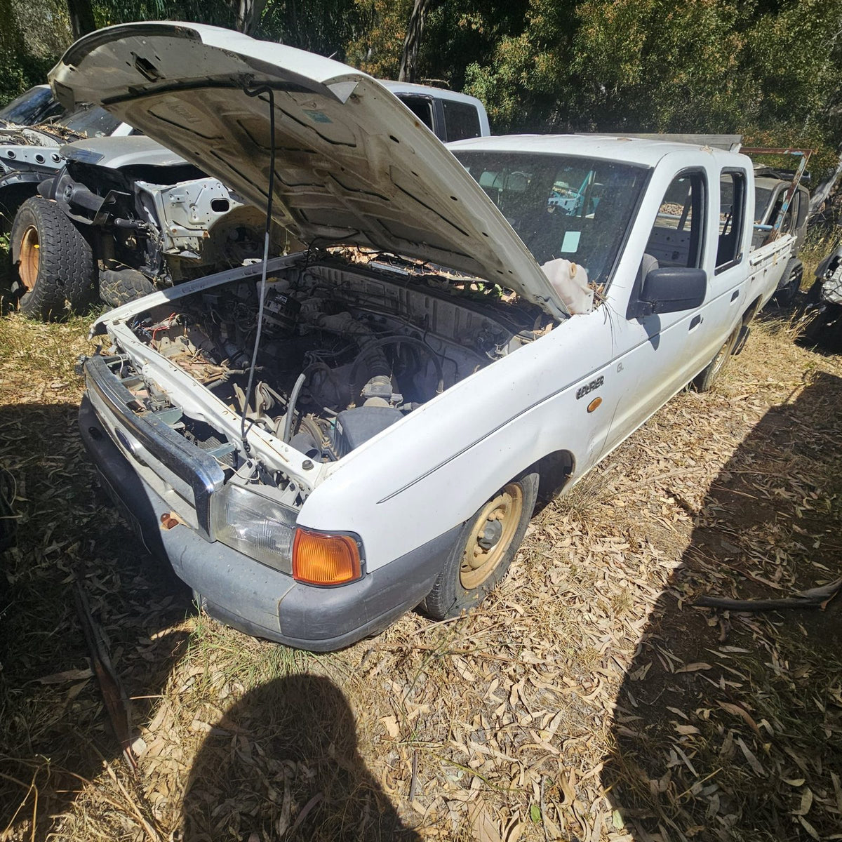 Ford Ranger and Courier in the yard, photo 10 of 11