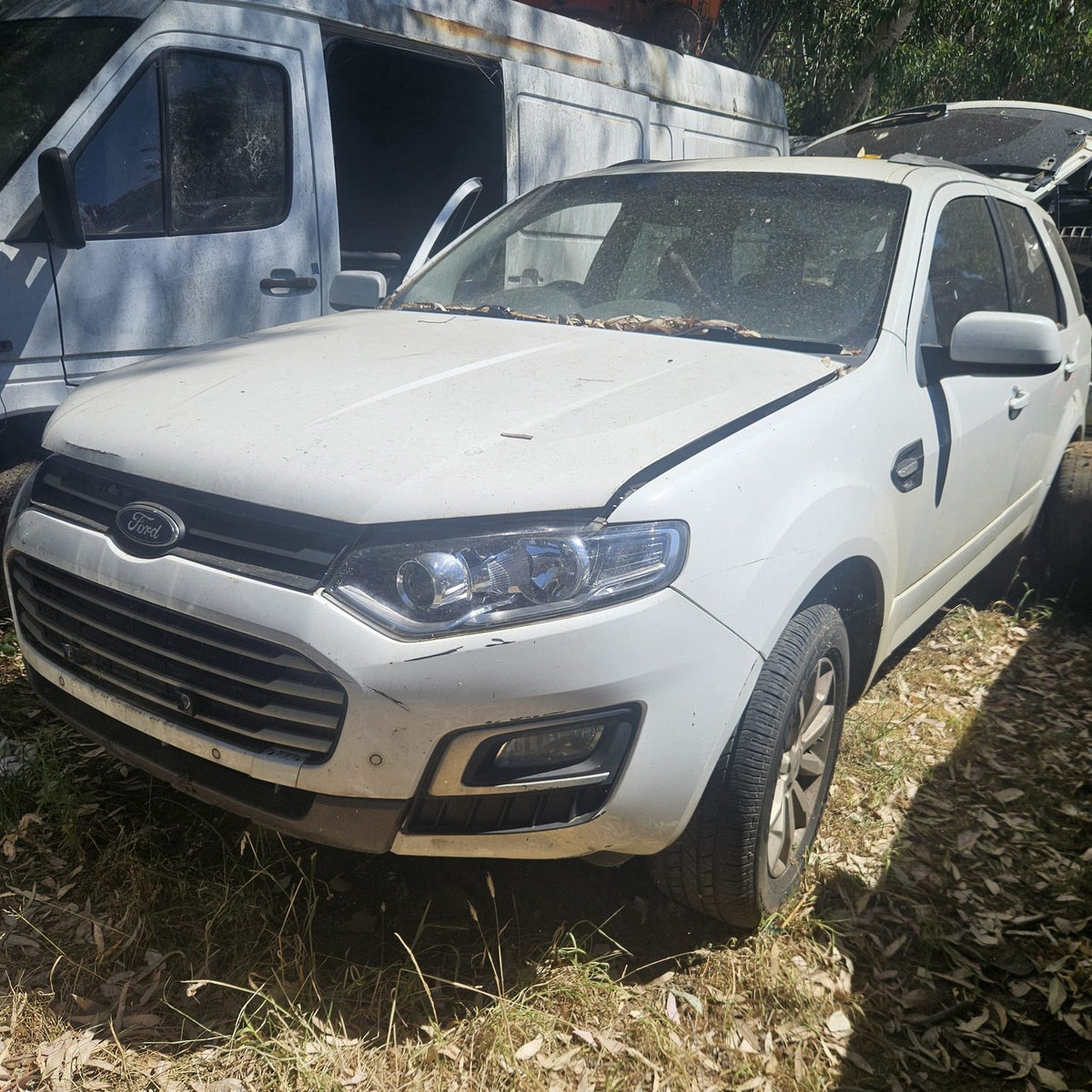 Ford Territory in the yard, photo 1 of 8