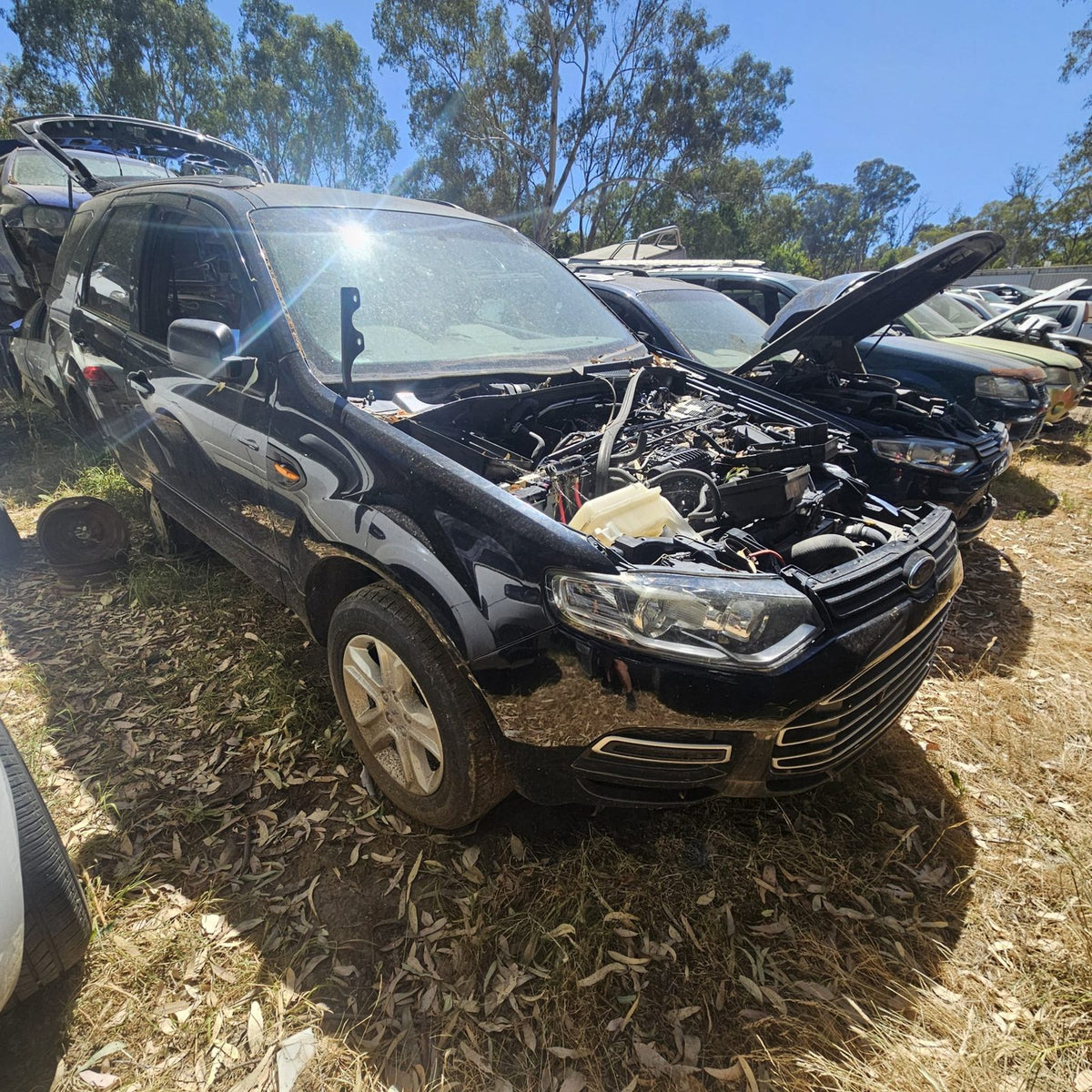 Ford Territory in the yard, photo 2 of 8