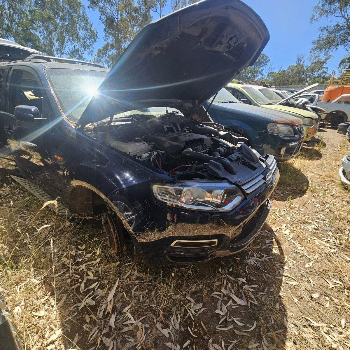 Ford Territory in the yard, photo 3 of 8