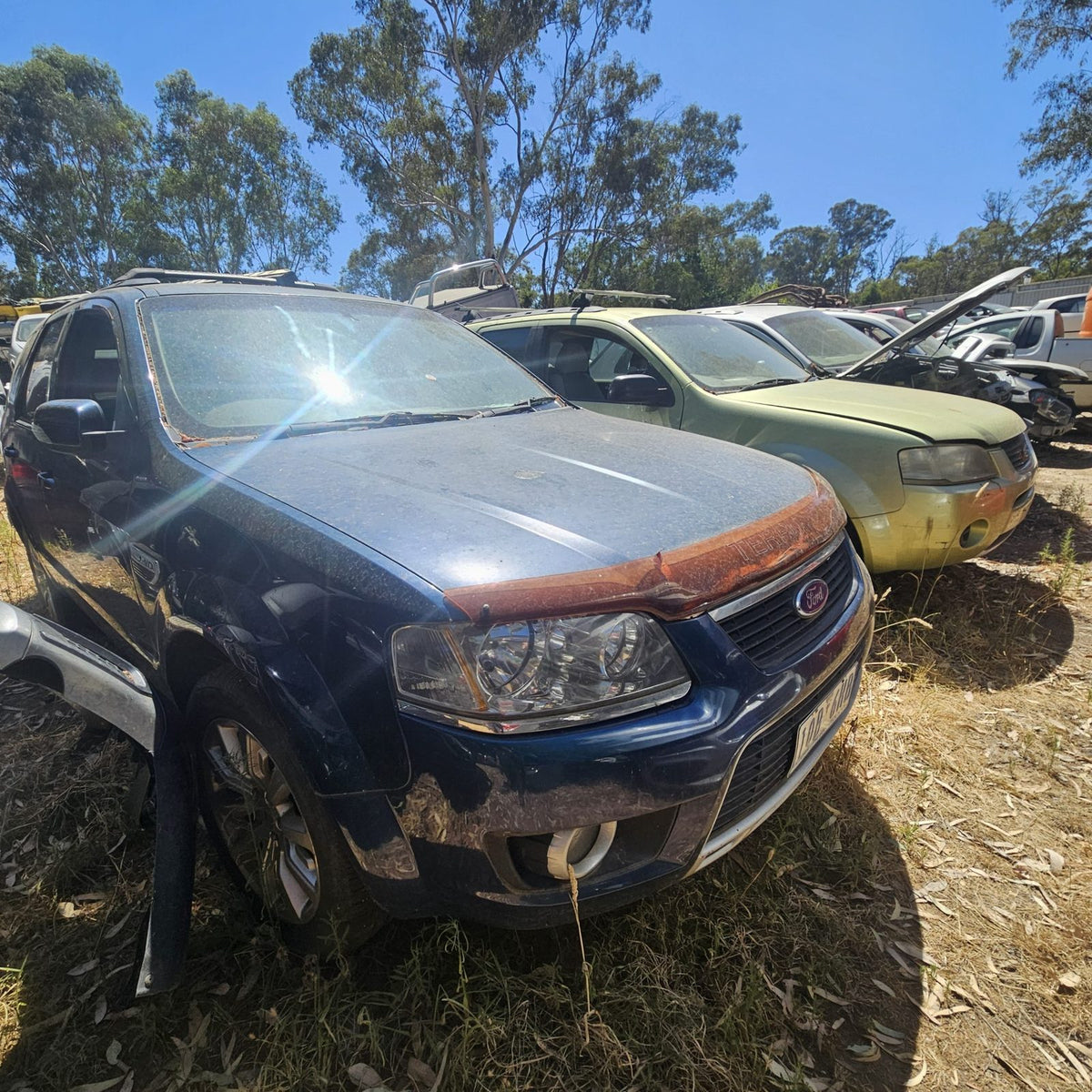 Ford Territory in the yard, photo 4 of 8
