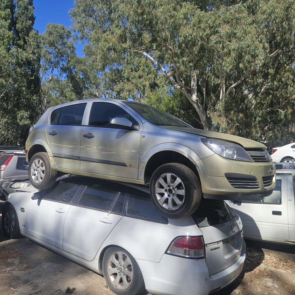 Holden Astra, Cruze, Captiva and Barina in the yard, photo 1 of 10
