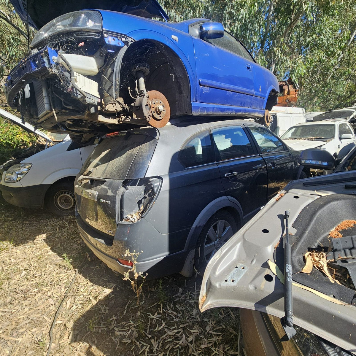 Holden Astra, Cruze, Captiva and Barina in the yard, photo 7 of 10