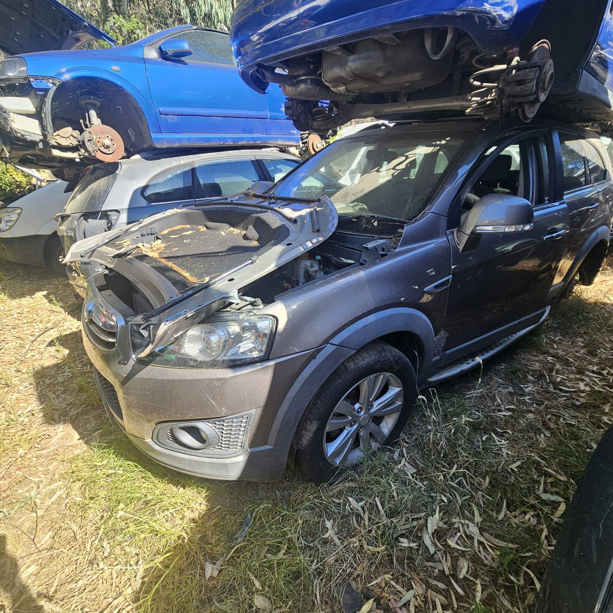 Holden Astra, Cruze, Captiva and Barina in the yard, photo 10 of 10