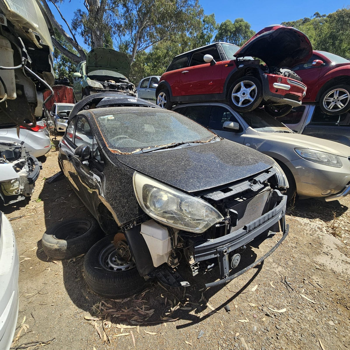 Kia in the yard, photo 7 of 7