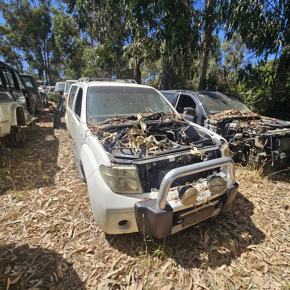 Nissan Pathfinder and Navara in the yard, photo 1 of 14