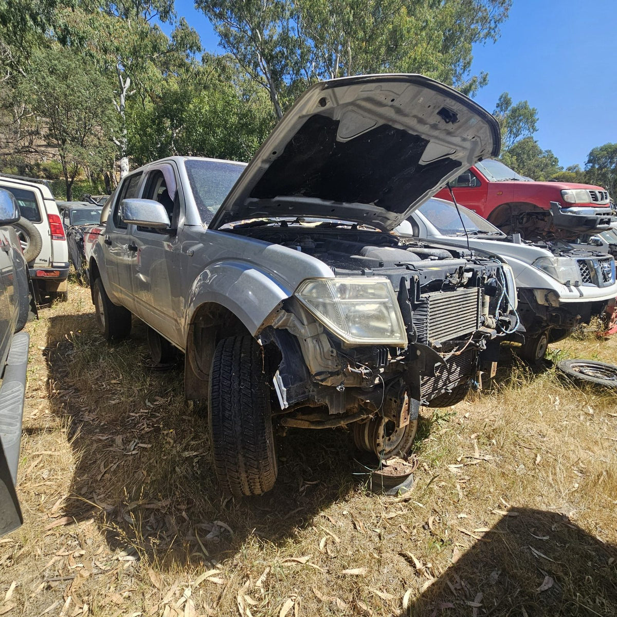 Nissan Pathfinder and Navara in the yard, photo 2 of 14