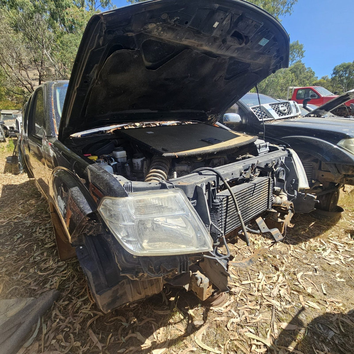Nissan Pathfinder and Navara in the yard, photo 4 of 14