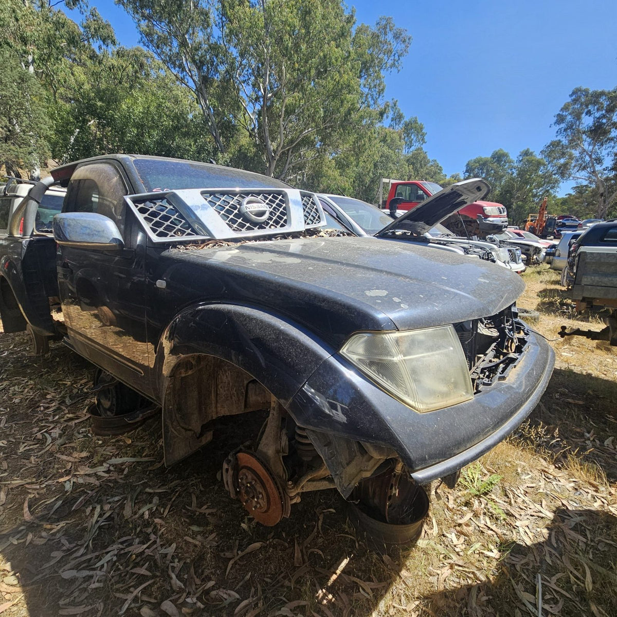 Nissan Pathfinder and Navara in the yard, photo 5 of 14