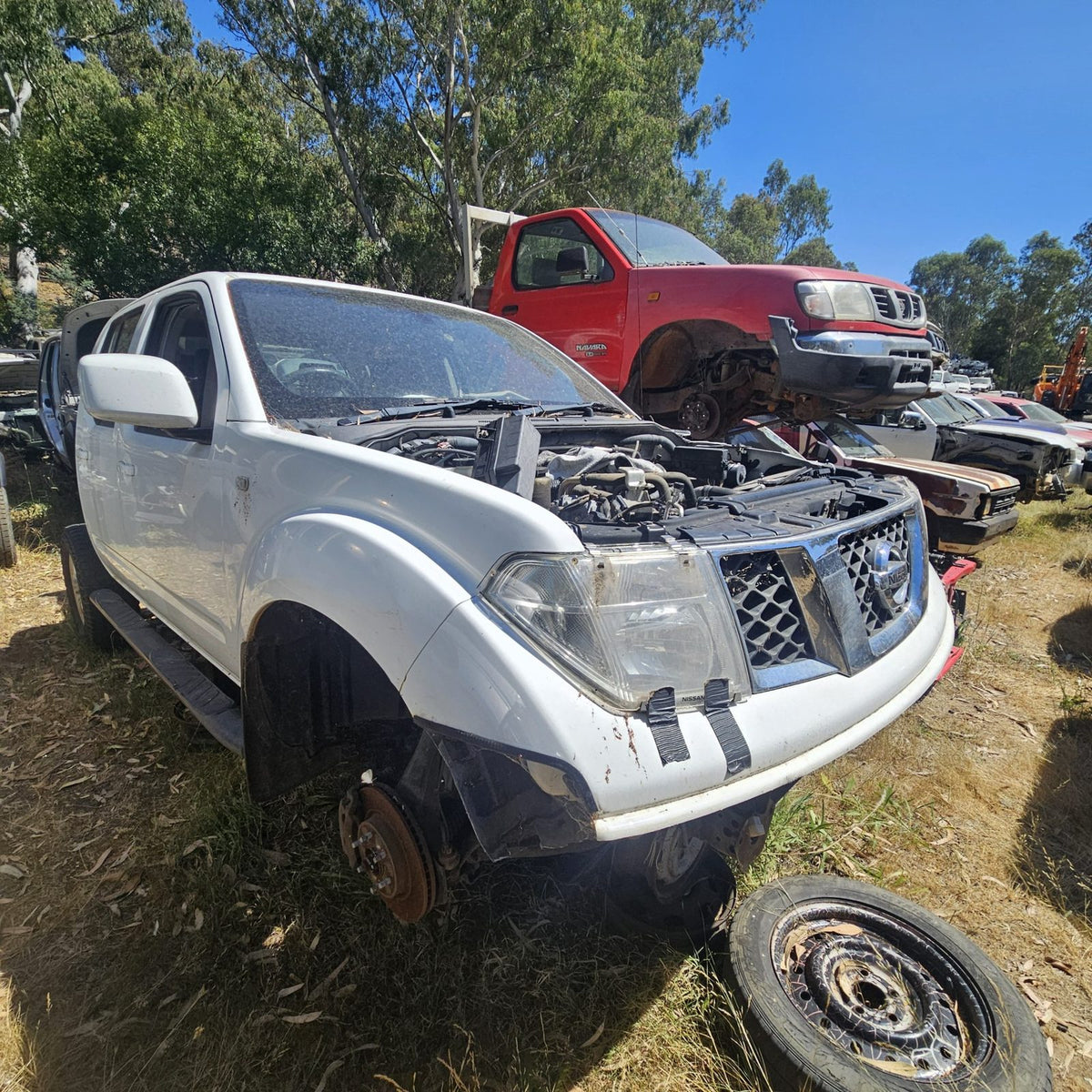 Nissan Pathfinder and Navara in the yard, photo 7 of 14