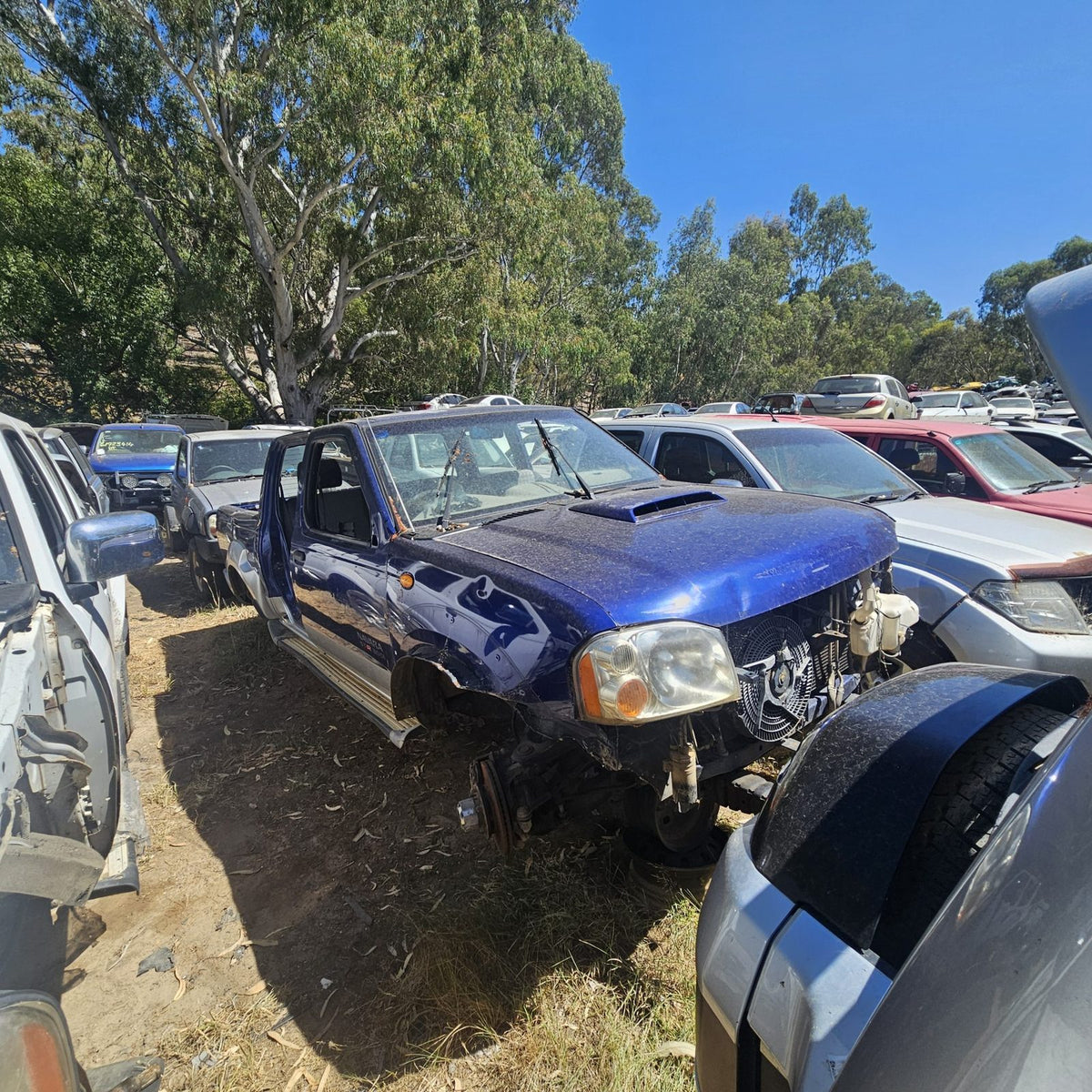 Nissan Pathfinder and Navara in the yard, photo 9 of 14