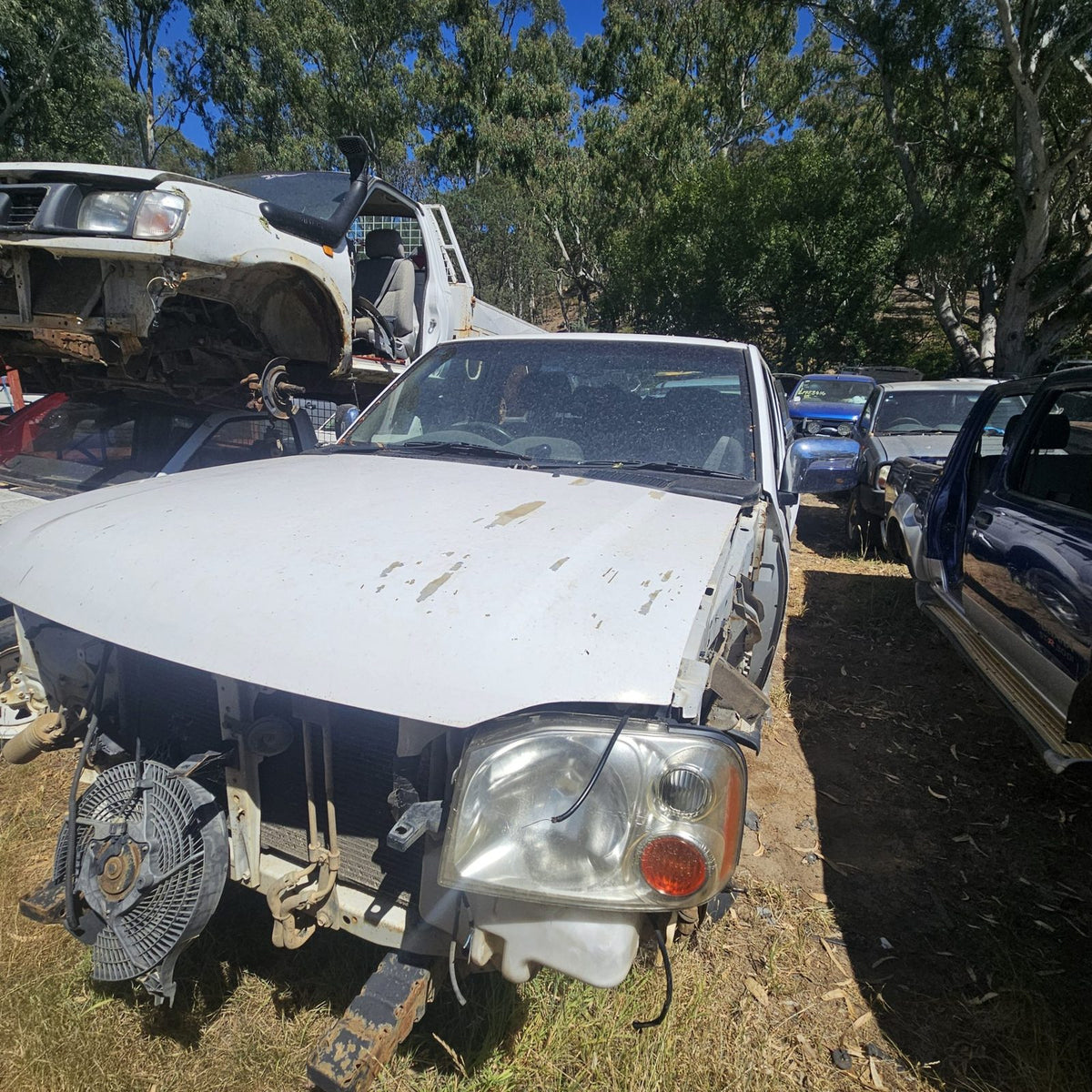Nissan Pathfinder and Navara in the yard, photo 10 of 14