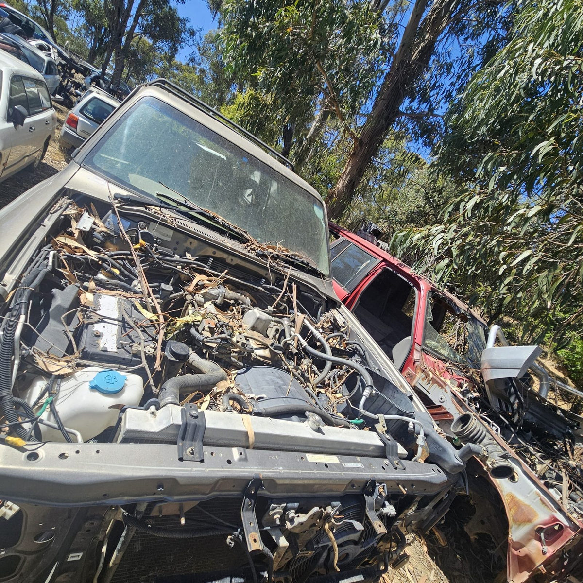 Nissan Patrol in the yard, photo 5 of 5