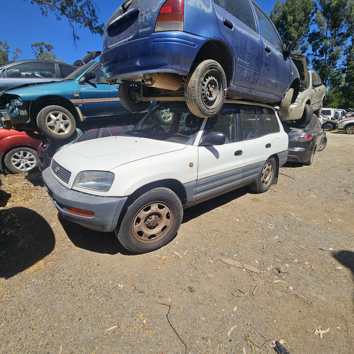 Toyota RAV4 and Kluger in the yard, photo 1 of 11
