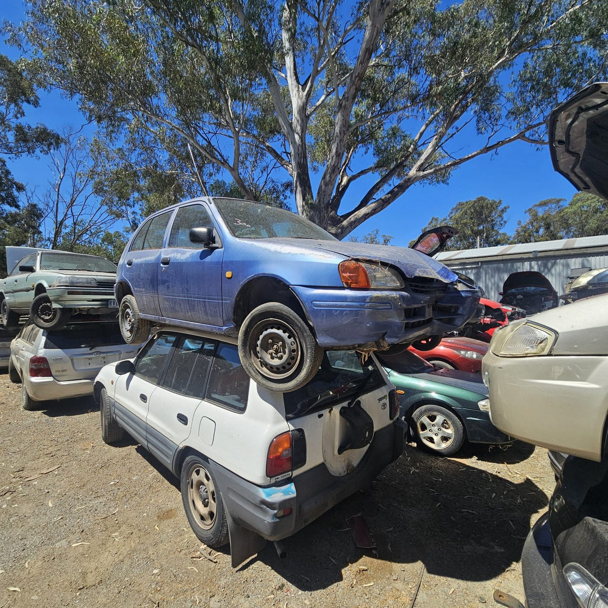 Toyota RAV4 and Kluger in the yard, photo 2 of 11